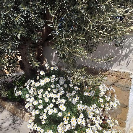 הוילה מרצאממי Casa Le Gebbie מראה חיצוני תמונה