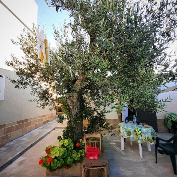 הוילה מרצאממי Casa Le Gebbie מראה חיצוני תמונה