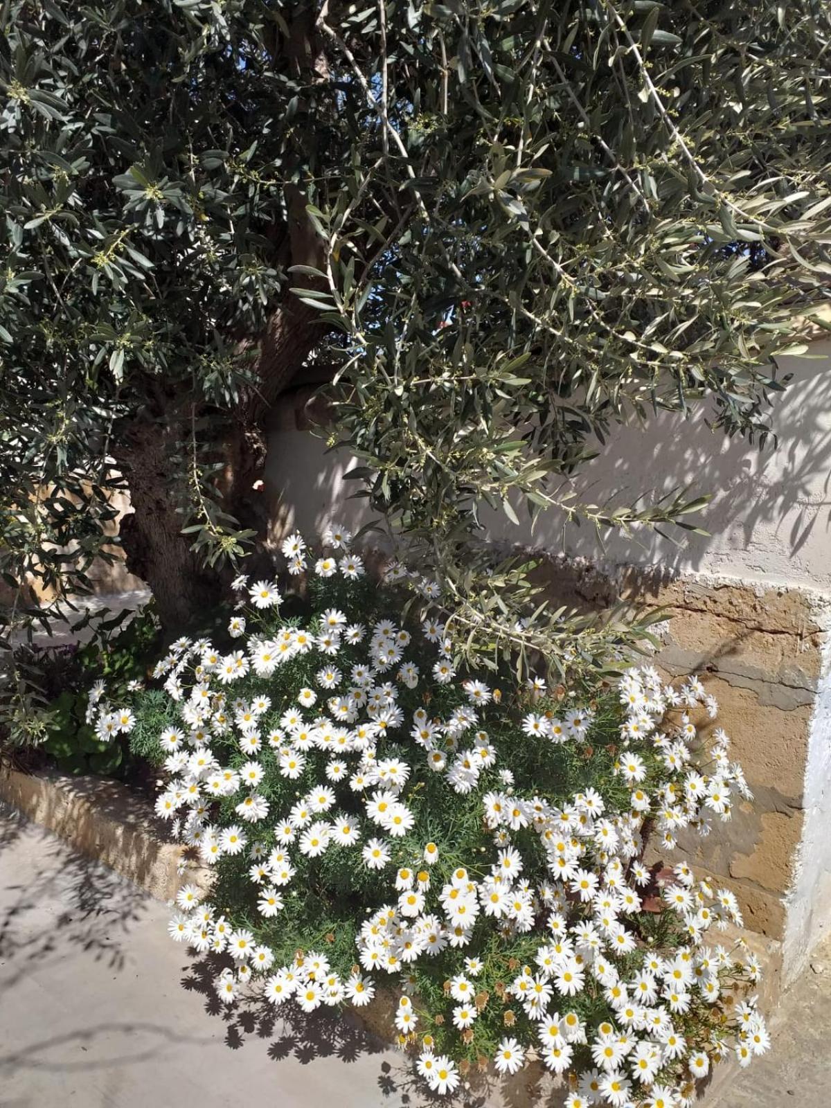 הוילה מרצאממי Casa Le Gebbie מראה חיצוני תמונה