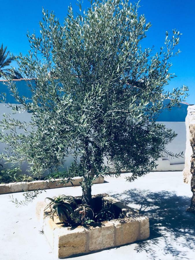הוילה מרצאממי Casa Le Gebbie מראה חיצוני תמונה