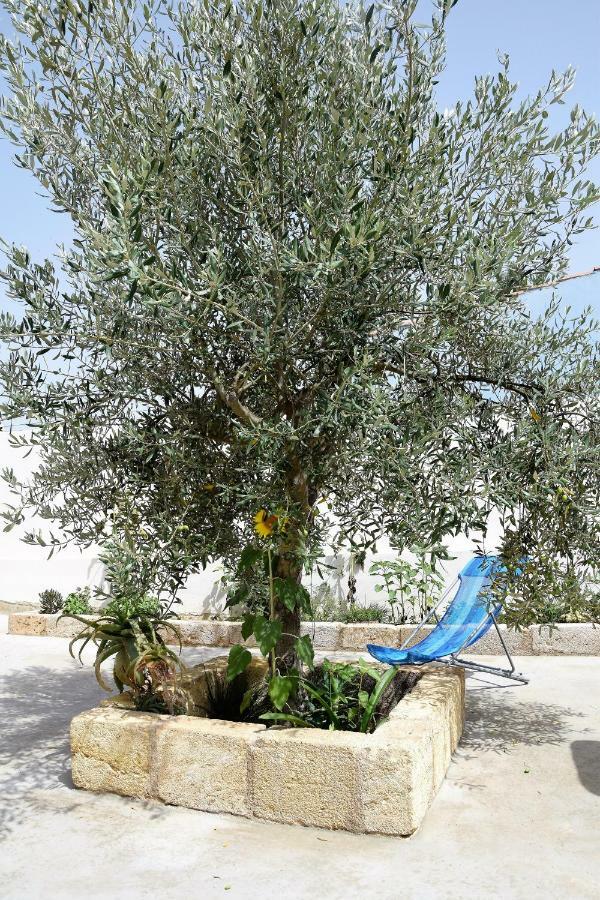 הוילה מרצאממי Casa Le Gebbie מראה חיצוני תמונה