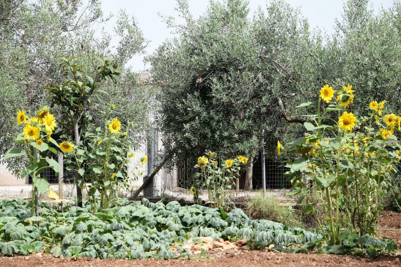 הוילה מרצאממי Casa Le Gebbie מראה חיצוני תמונה